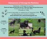 Naissances  à  l'élevage De montclea
