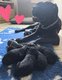 Superbes chiots cane corso avec pedigree
