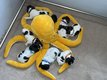 Chiots Schapendoes LOF