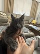 Il reste une fille polydactylie 3