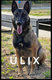 Ulix