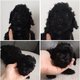 Dernier chiot Caniche Toy noir