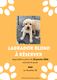 Labrador blond à adopter
