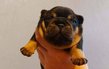 Magnifiques Bouledogues Français avec pedigree