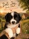 Magnifiques chiots Border Collie avec pedigree...