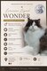 Wonder, mâle british longhair chocolat et blanc