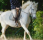 Aide pour chevaux difficiles