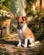Chiots Fox Terrier à Poil Lisse à réserver