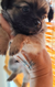 2 magnifiques petits chiots chihuahua ,poils...