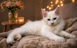 Chaton Maine Coon à vendre