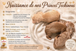 Chiots Teckels nains Poils courts (couleurs rares)