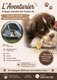 Magnifique chiots berger australien