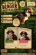 Magnifique chiots berger australien