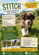 Magnifique chiots berger australien