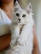 Shaded