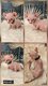 Chatons sphynx elf