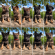Chiot Berger allemand pure race