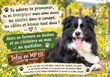 Mâle 8ans avec Pedigree Saint-Hubert à placer
