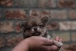 Chiot poil long pedigree FCI