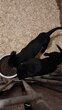 Chiot malinois noir