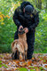 Éducation canine à domicile.