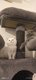 4 Adorables chatons British shorthair