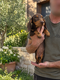 Chiot teckel Kaninchen Nain