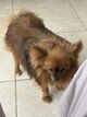 Sallie