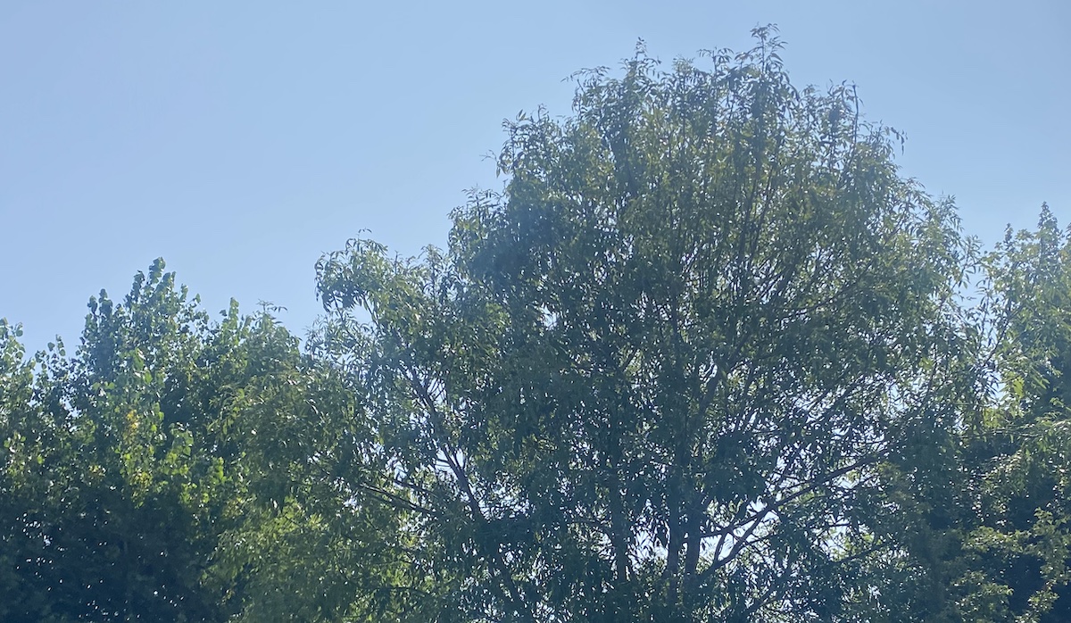 15 activités pour le 15 août