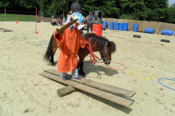 Stages,cours Formation quimotricit Psychomotricit avec poneys