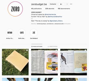 Expositions ZRO Budget, Exposition virtuelle Instagram