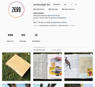 Expositions Z€RO Budget, Exposition virtuelle Instagram