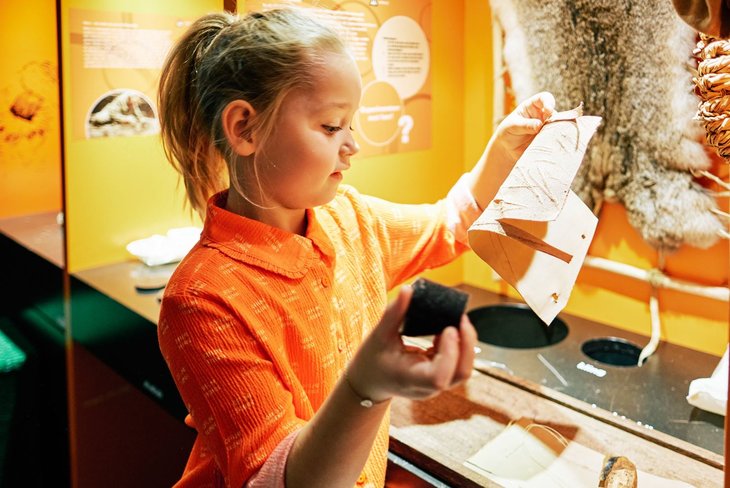 Expositions Salle découverte