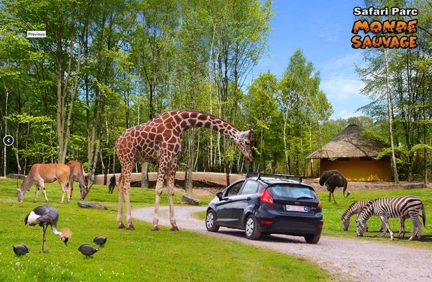 Loisirs Monde Sauvage Safari Parc