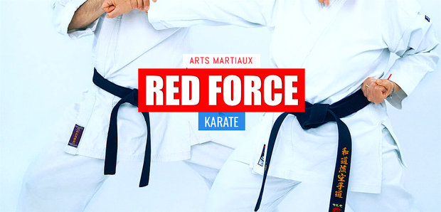 Stages,cours Cours karaté ados adultes