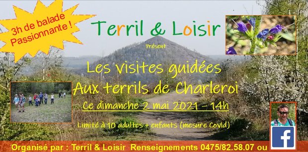 Loisirs Visites guides les terrils Charleroi