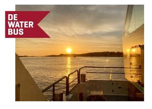 Loisirs Découvrez polders Kruibeke avec DeWaterbus