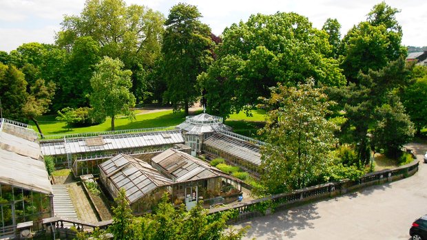 Loisirs Visite Serres Jardin Botanique