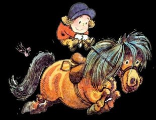 Stages,cours Leçons d équitation