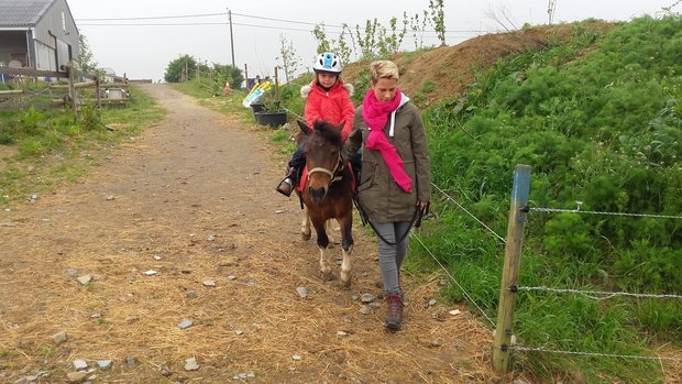 Loisirs Balade - promenade poney - âne