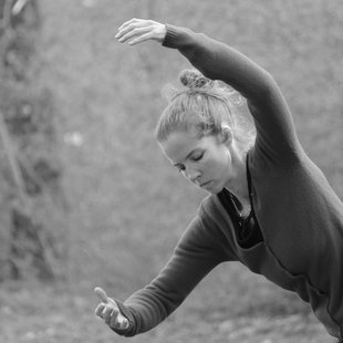Stages,cours Mditation mouvement - Ateliers adultes