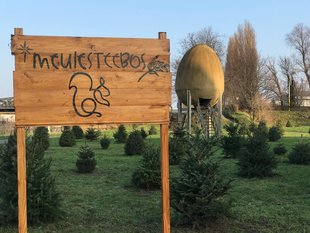 Loisirs Dimanche jour la fort  Meulesteebos