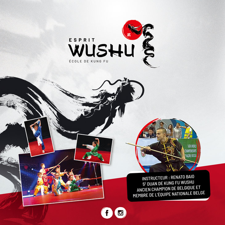 Stages,cours Cours Kung Wushu