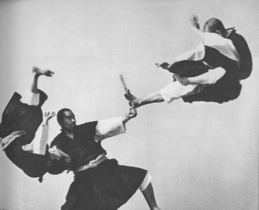Stages,cours Shorinji Kempo