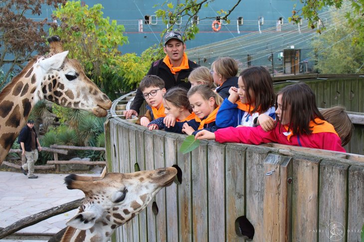 Stages,cours Stages  petits futés la nature  Pairi Daiza