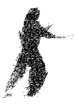 Stages,cours Tai Qi Gong