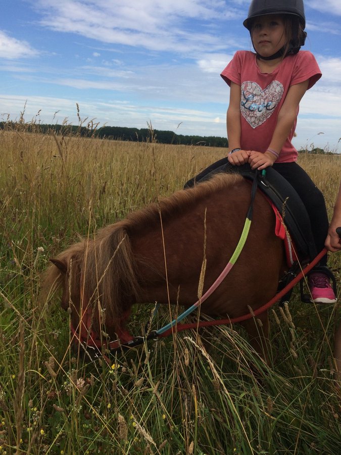 Loisirs Promenades  poneys (accompagnes)