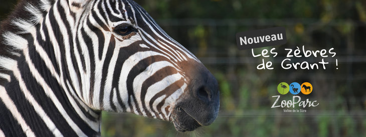 Loisirs ZooParc Vallée la Sûre