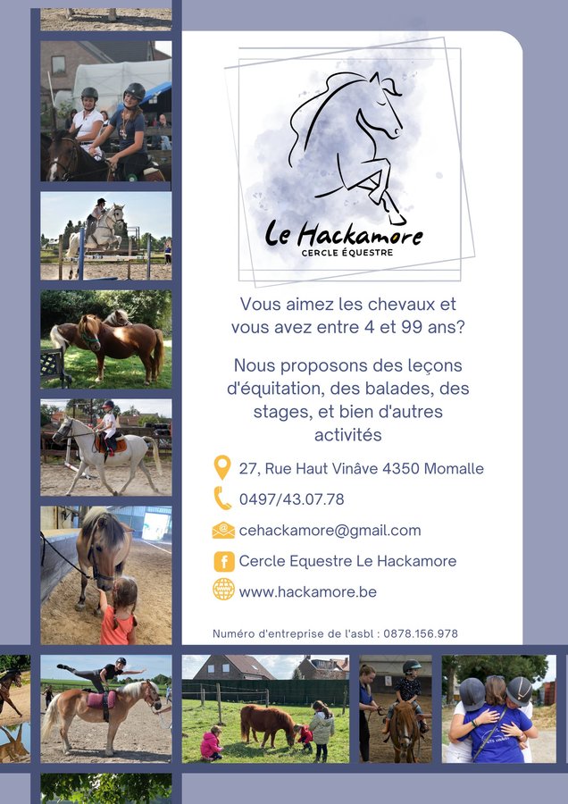 Stages,cours Cours collectifs d équitation