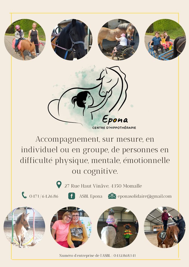 Stages,cours Hippothérapie - Médiation animale